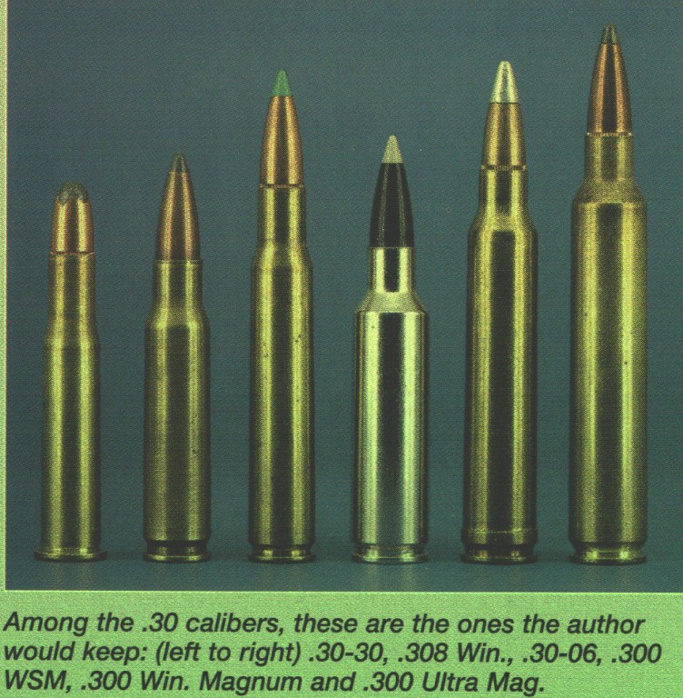 Misc Bullet Pics 